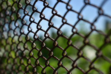 Fototapeta premium rusty wire mesh