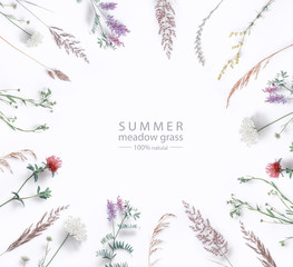 Set of wild flowers, herbs grass and twigs, field plants, color floral elements, beautiful...