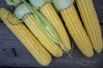 Fototapeta na wymiar кукуруза