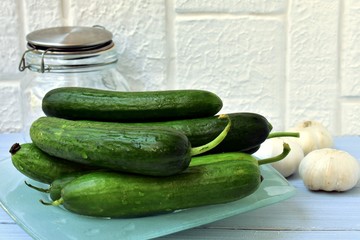 Fresh cucumbers prepared for pickling.