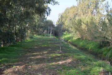 Herzliya Park
