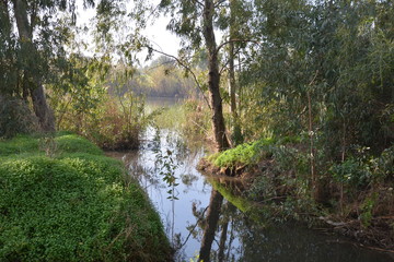 Herzliya Park
