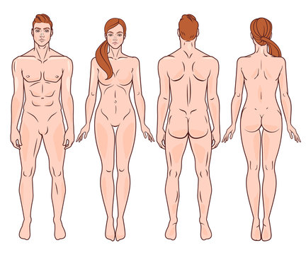 Male And Female Full Body Back And Front Image. Vector Illustration Set.