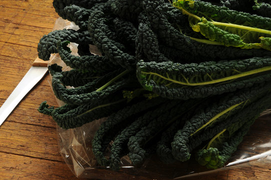 Brassica oleracea L. variet&agrave; acephala Cavolo nero Kale Chou Gr&uuml;nkohl Кудрявая капуста Col crespa 