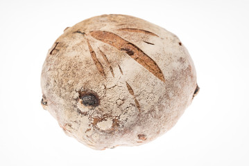 Fototapeta premium bread with dried cranberries