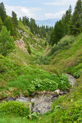 Obraz premium Wasser im Bach in den französischen Alpen