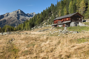 Fototapeta na wymiar A closed cowshed at fall in front of a mountain meadow