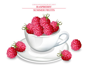 Raspberry in a white cup Vector realistic. Summer fruits delicious template. 3d detailed illustrations