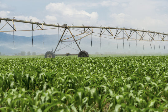 Lateral move irrigation system 