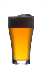 craft beer glass on white background
