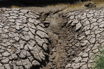 Dried and cracked mud banks.