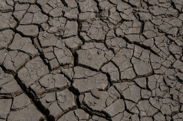 Dried and cracked mud banks.