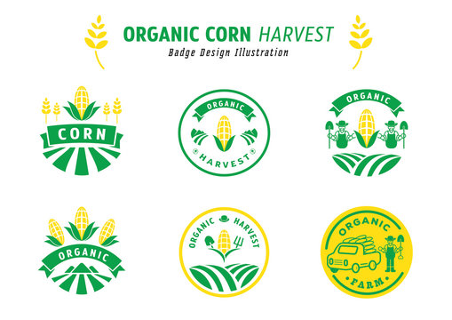 Organic Corn Harvest Badge Design