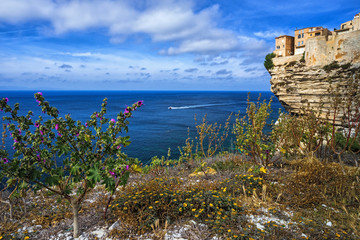 Cliffs of Bonifacio