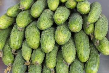 fresh cucumber abstract fruit colorful pattern texture background