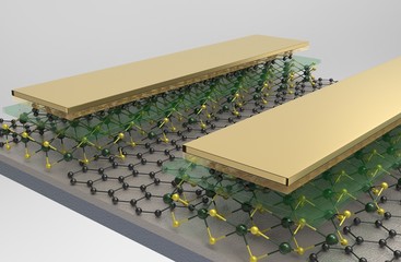 MoS2 electrode 3d Image