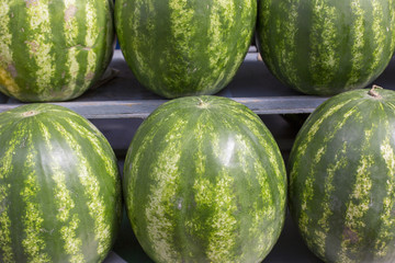 fresh abstract green watermelon fruit colorful pattern texture background