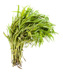 Fresh tarragon leaves