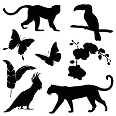 animals jungle silhouette set © ivivankeulen