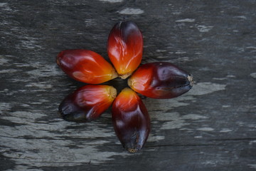 palm fruit