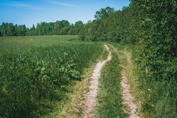 Fototapeta na wymiar Hiking walking path over the overgrown field leading to the waterfall. Small waterfall in Gauja national park. Latvia.