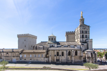 Fototapeta na wymiar Popes Palace in Avignon, France