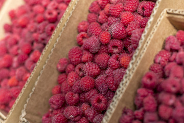 fresh red ripe raspberries in boxes abstract fruit colorful pattern texture background