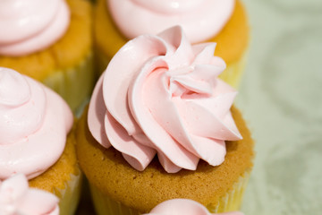 Pink cupcake on white background.Copy space.