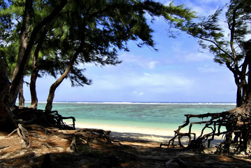 Reunion island seascape, landscape. Black sand, volcanic rocks.