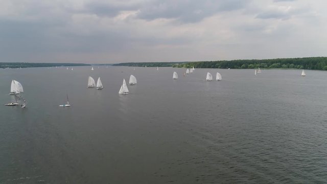 Aerial view sailboats floats on water surface lake. Landscape with sailing yachts, sailing regatta in the water bay.