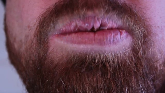 An not so healthy snack in placing in the mouth of this adult, beard faced man, and he chomps down on a cheese covered chip. aka nacho.