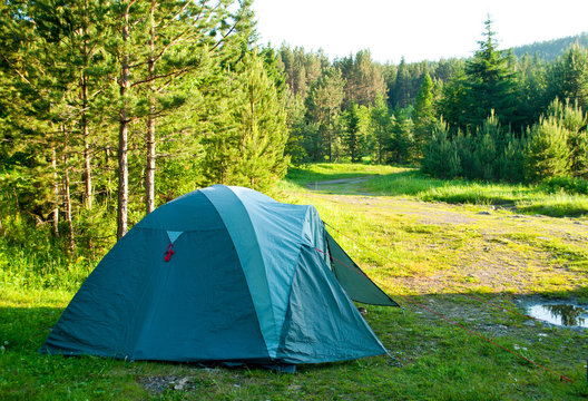Tent against a forest background, camping camp, concept of hiking.