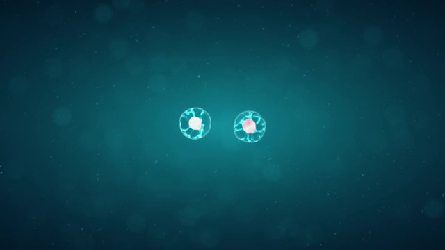 Mitosis, The Process Of Cell Division And Multiplication. Medicine Scientific Concept