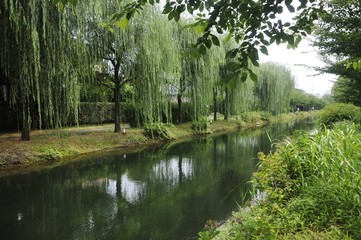 伏見の水路