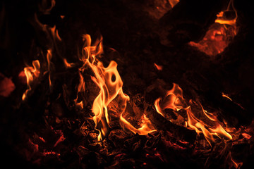 Flames of bonfire at night