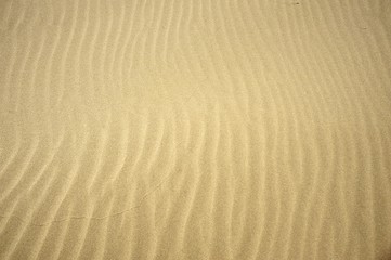 砂丘の風紋