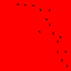 Ants trail vector