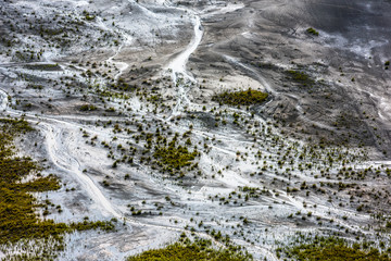 grass, water track and trail on barren sand after rain