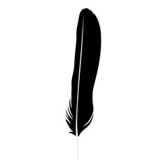 Feather isolated vector