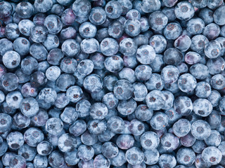 Fototapeta na wymiar Blueberry background