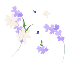 Flower composition vector