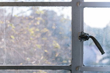 Window with autumn view of trees out of focus