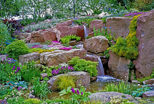 Impressive rockery garden with water feature plants and alpine f
