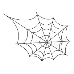 Cobweb spider vector