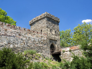 Fototapeta premium Bitov Castle from 1061 is a cultural monument, the Czech Republic