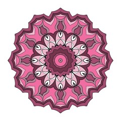 Decorative Cicle Vector Shapes. Floral mandala. Vector illustration