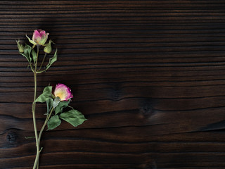 flowers on dark wooden background,flat lay