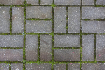 concrete tile on the ground pavement path abstract pattern texture background with grass