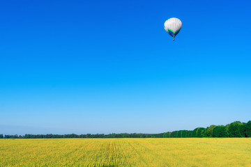 Aerostat is flying over the yellow field. Summer. Sunny day. Recreation. Romantic adventure. Beautiful nature. Blue sky, green trees and yellow wheat.