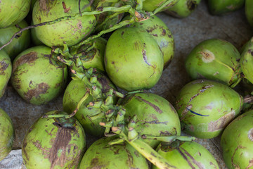 coconut harvest. many coconuts. coconut for food textures. . Landscape. A backdrop of coconut. Street vegetable market. Group of coconuts